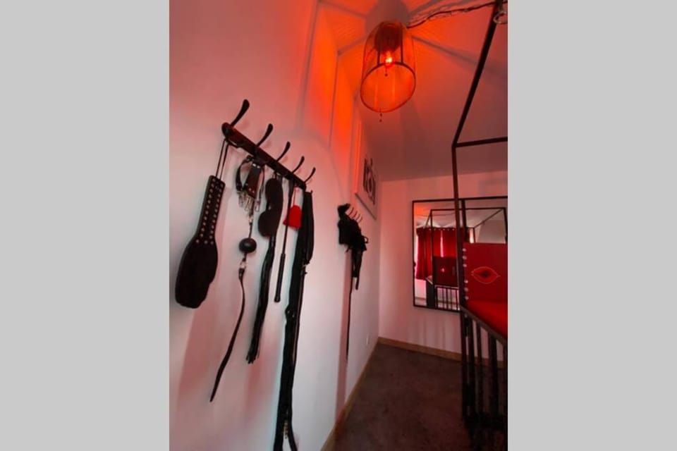 Love Room - L'Atelier Des Nuan'S Apartment in Colmar