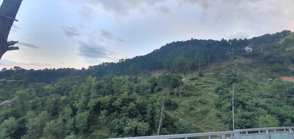 View (from property/room)