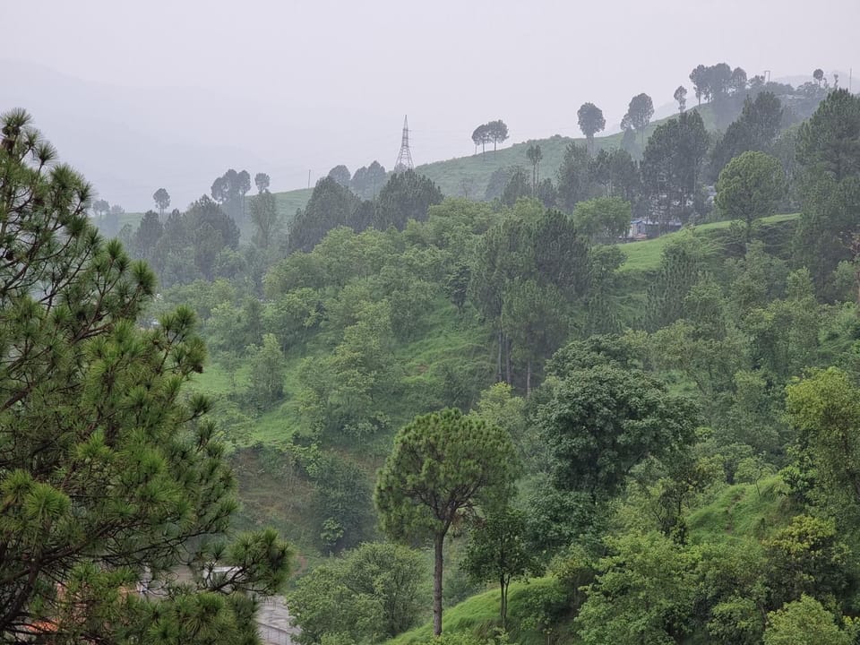 View (from property/room)