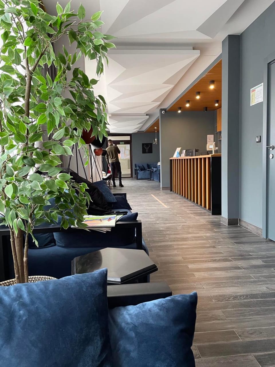 Brzeće Center Studio Mitrovski Gondola 300m Apartment in Serbia