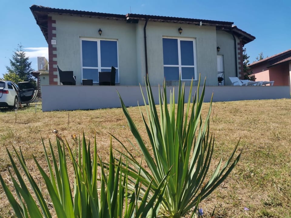 Property building, Day, Garden, Garden view
