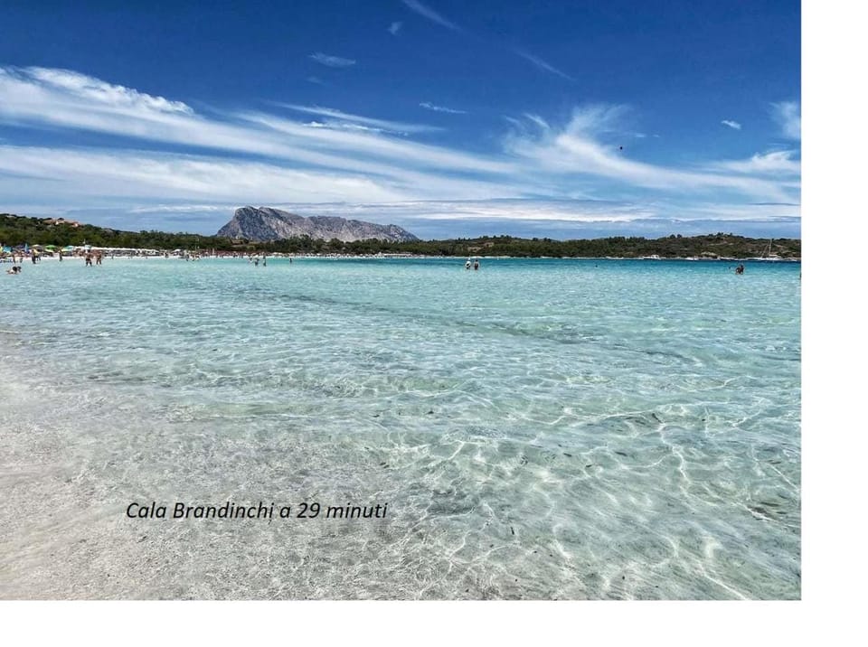 APPARTAMENTO CORALLO with PRIVATE GARDEN House in Olbia
