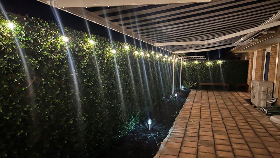 Patio, Night, Garden