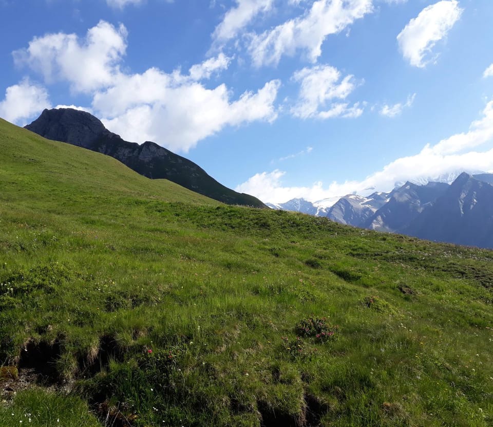 Sonnenhof Apartment in Salzburgerland