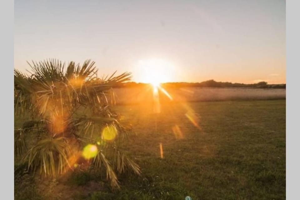 Studio au pied des dunes, 200 m de la plage House in Normandy