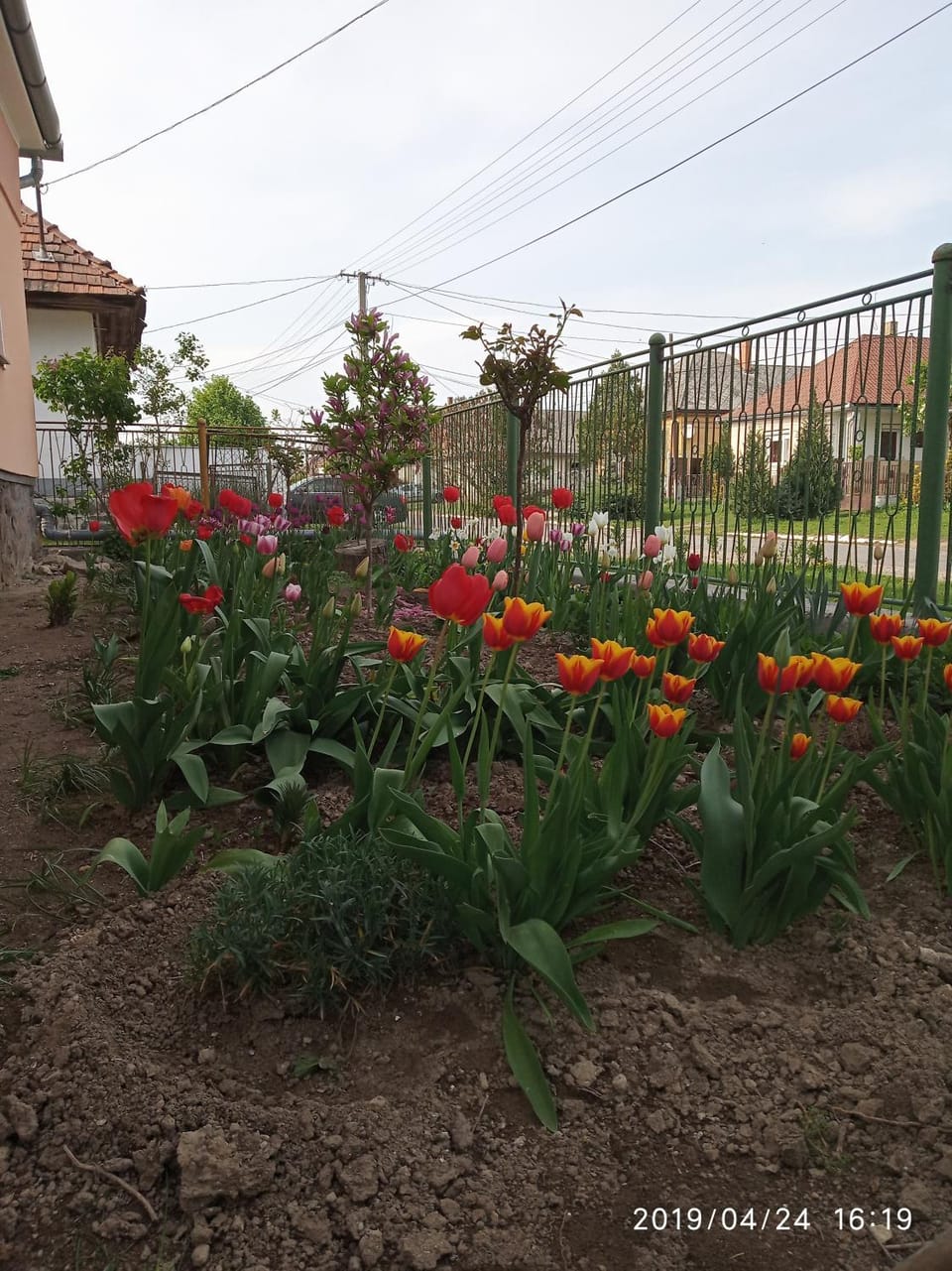 Spring, Garden