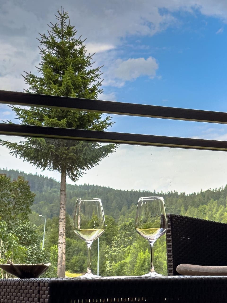 Day, Natural landscape, View (from property/room), Mountain view, Alcoholic drinks