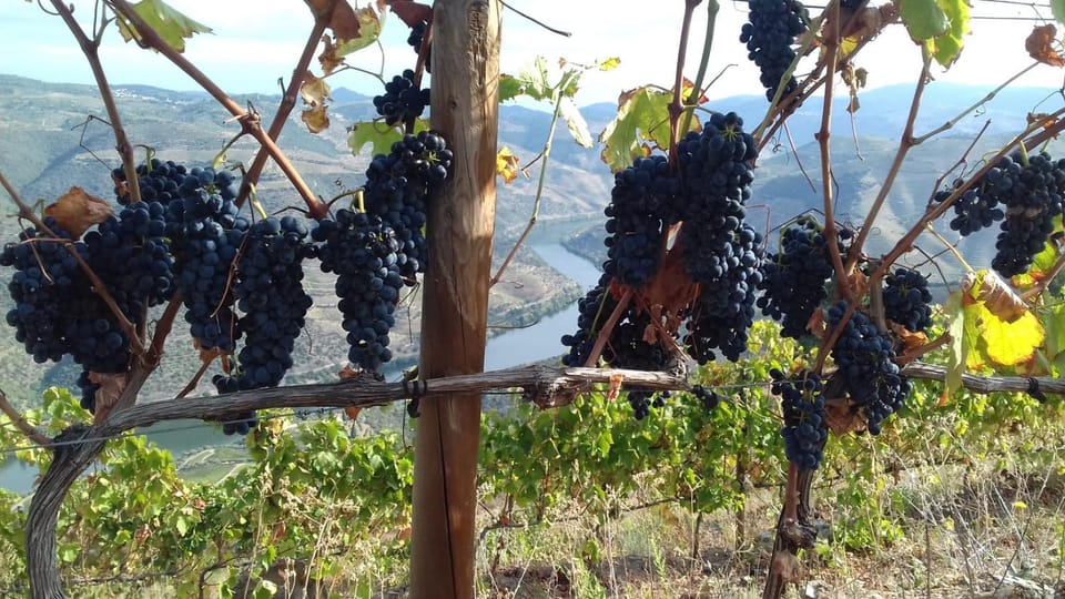 Natural landscape, On site