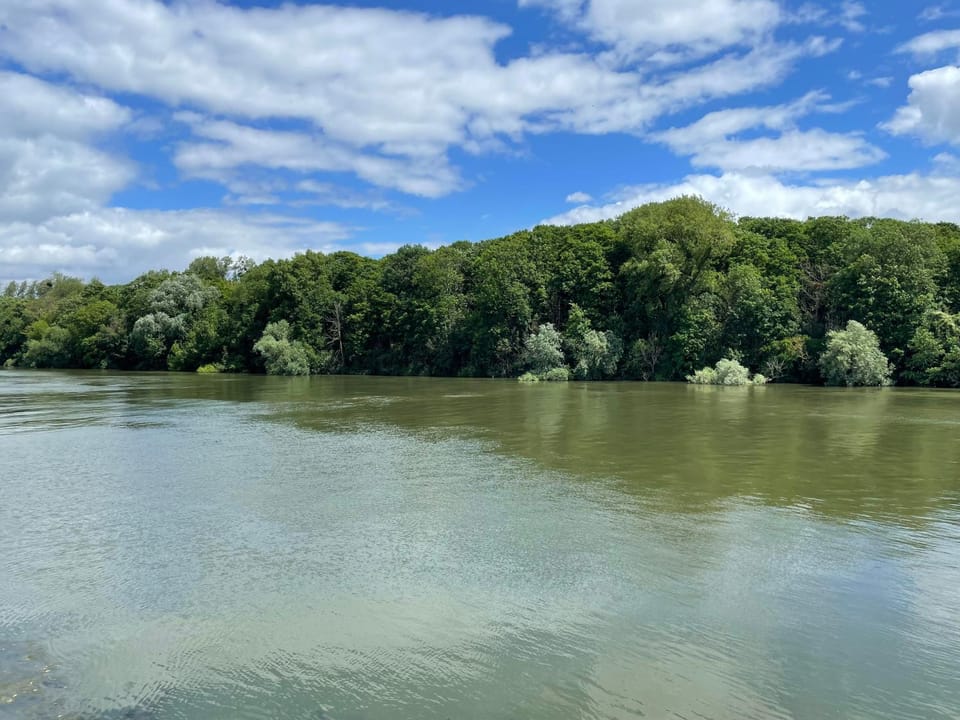 Natural landscape, On site, River view, River view