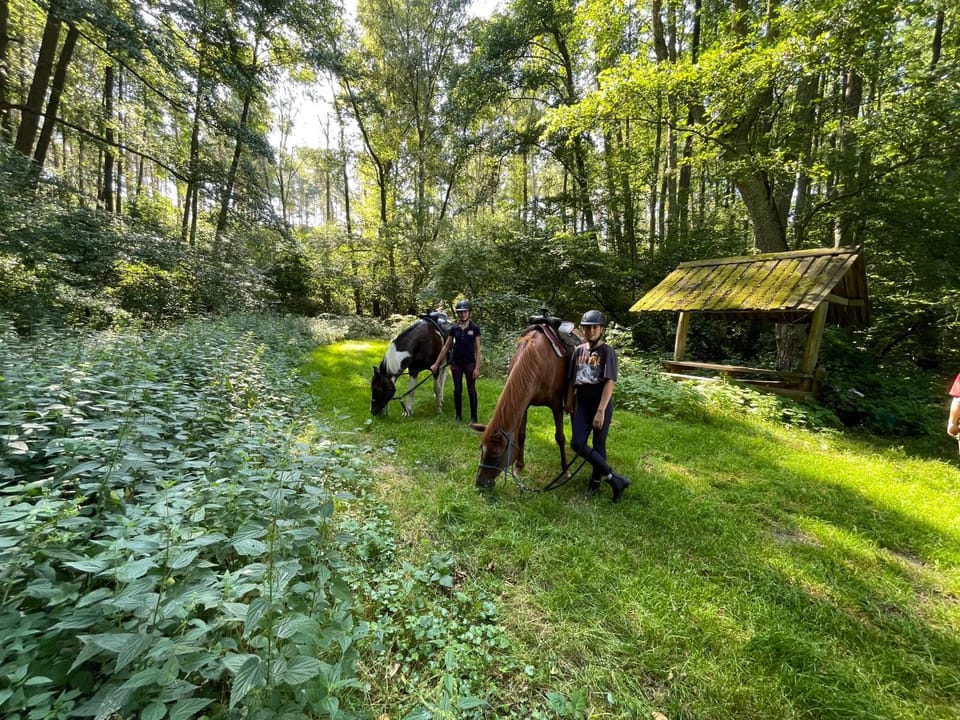 JZ Guest Ranch Apartment in West Pomeranian Voivodeship, Poland