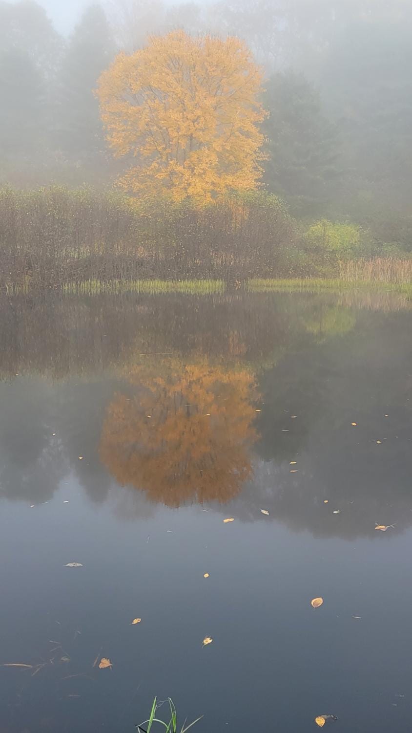 Natural landscape