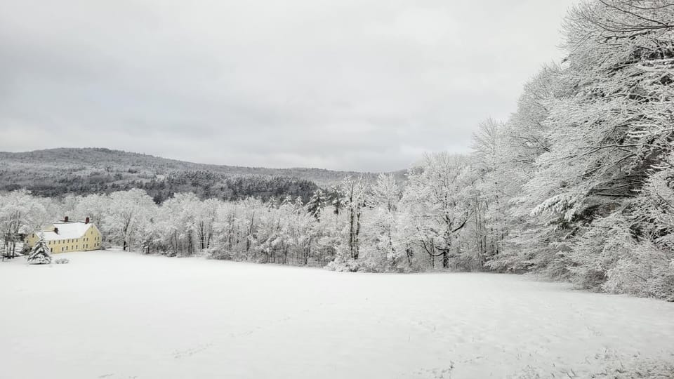 Winter