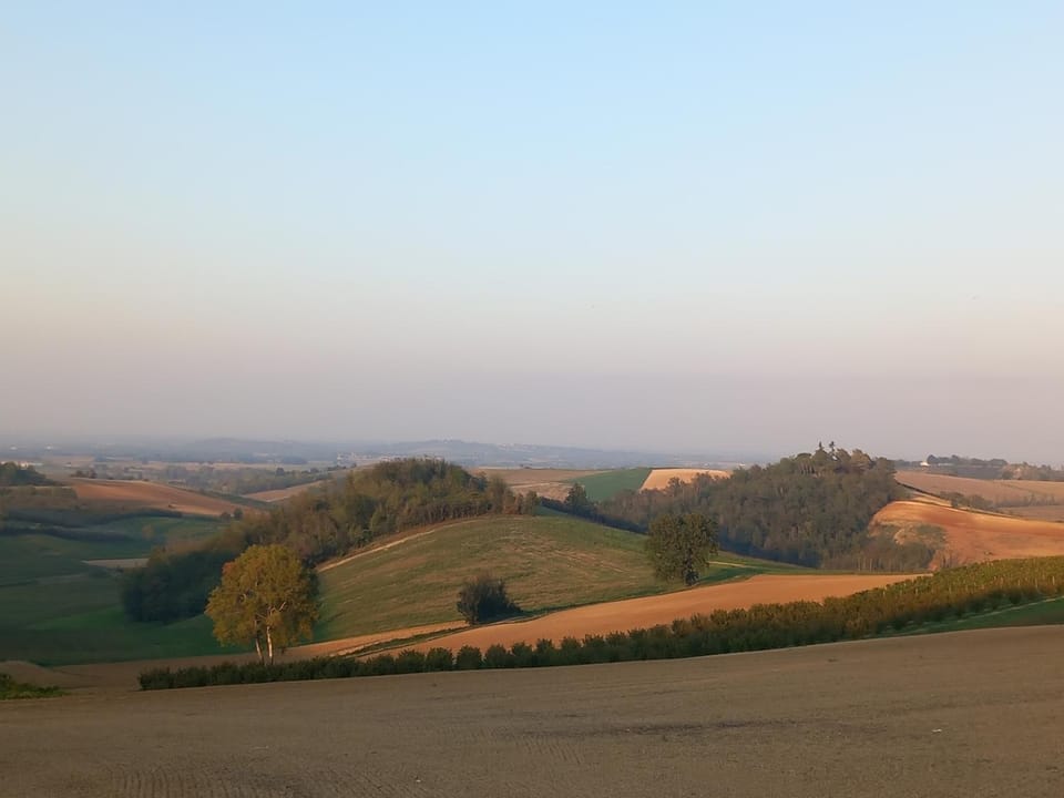 Natural landscape