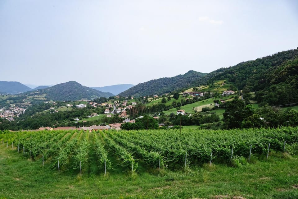 Natural landscape, Mountain view