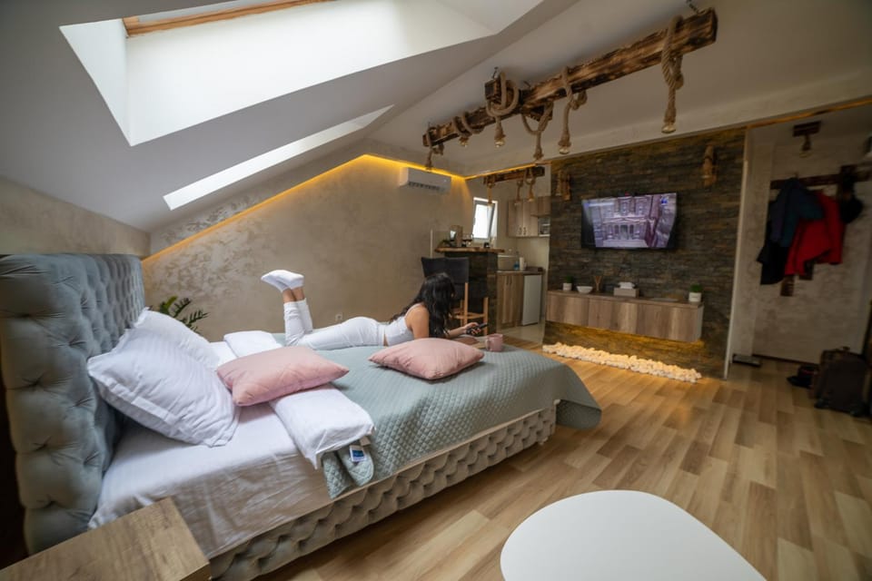 Rustic Luxury Apartment - Valjevo centre BID Zone Apartment in Serbia