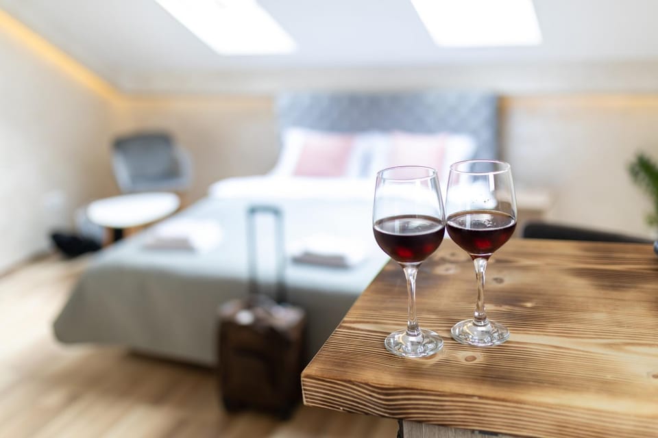 Rustic Luxury Apartment - Valjevo centre BID Zone Apartment in Serbia