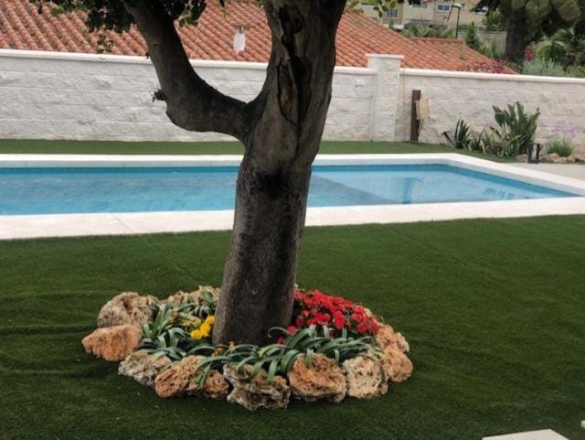 Garden, Swimming pool