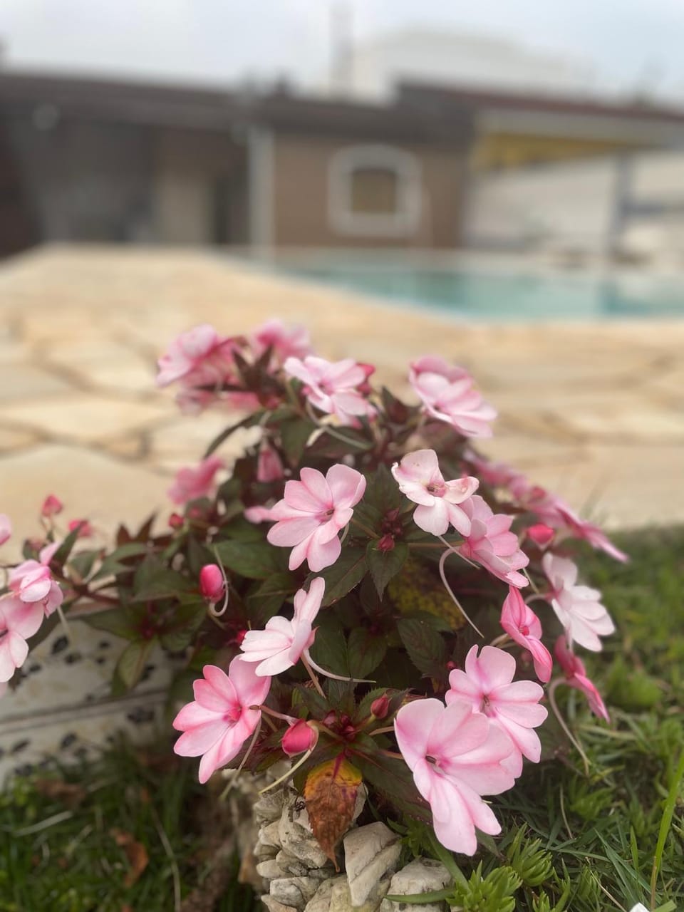 Property building, Spring