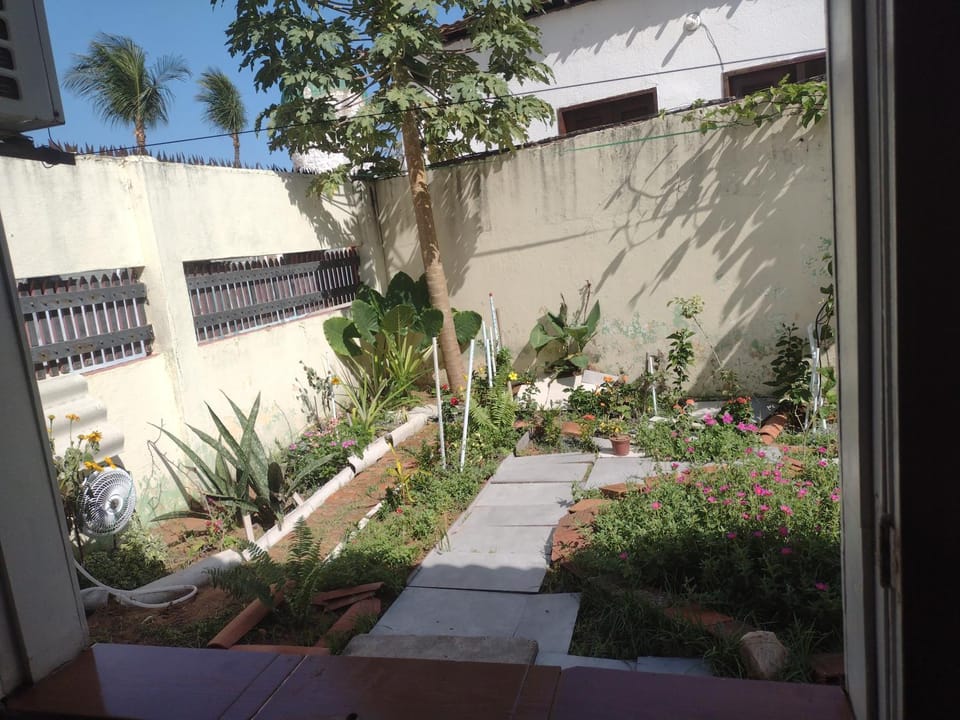 Garden, Garden view