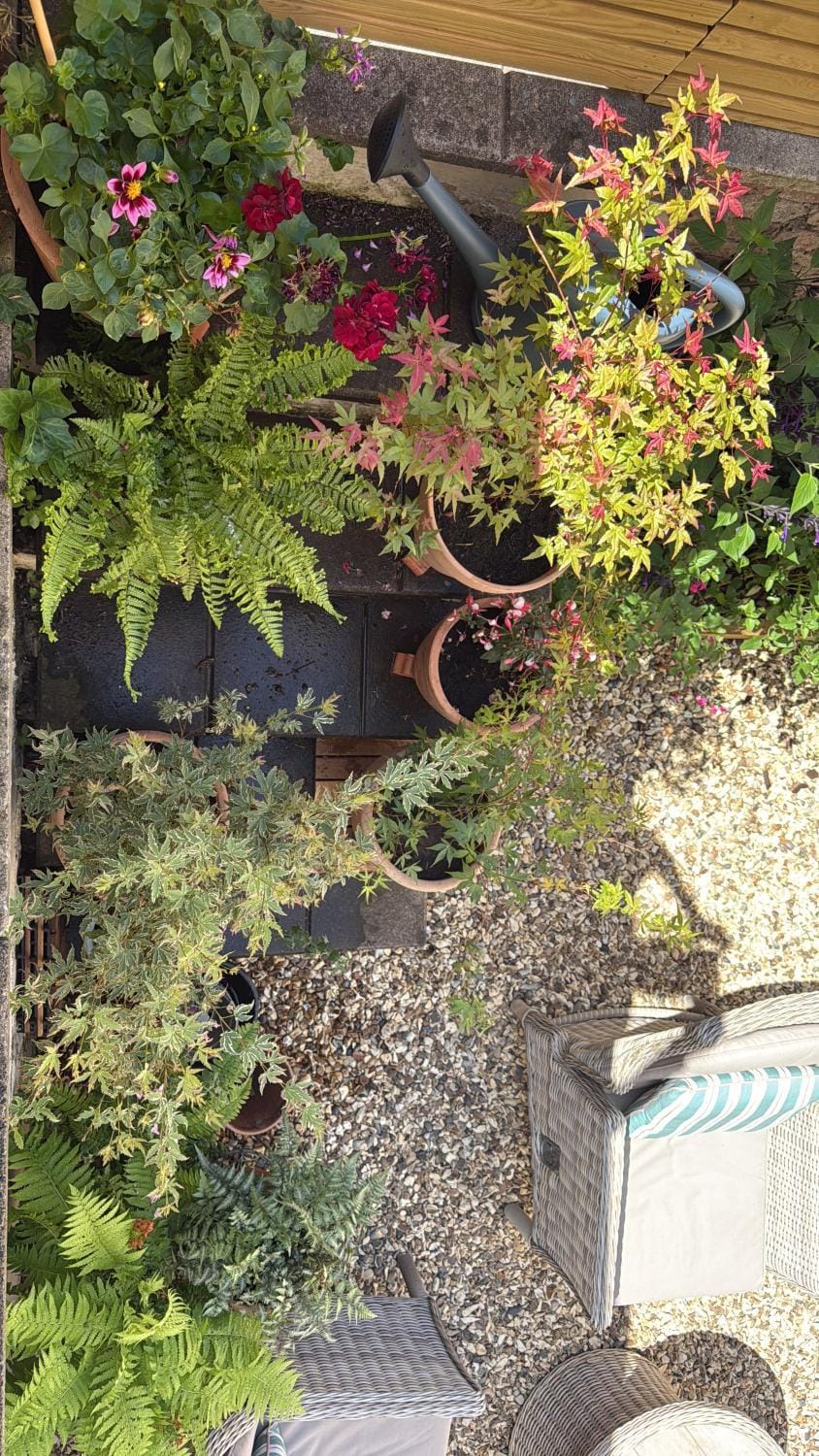 Courtyard Garden Flat Vacation rental in Cheltenham