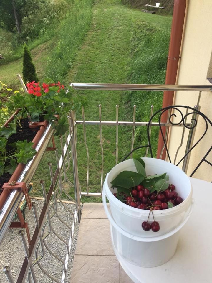 Farm ,zidanica ,JOLI House in Slovenia