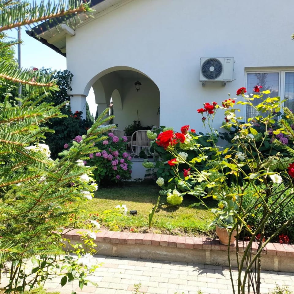 Property building, Spring, Day, Garden, Garden view