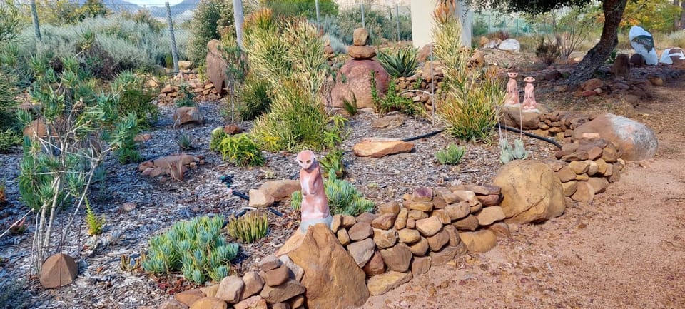 Natural landscape, Garden, Garden, Garden view