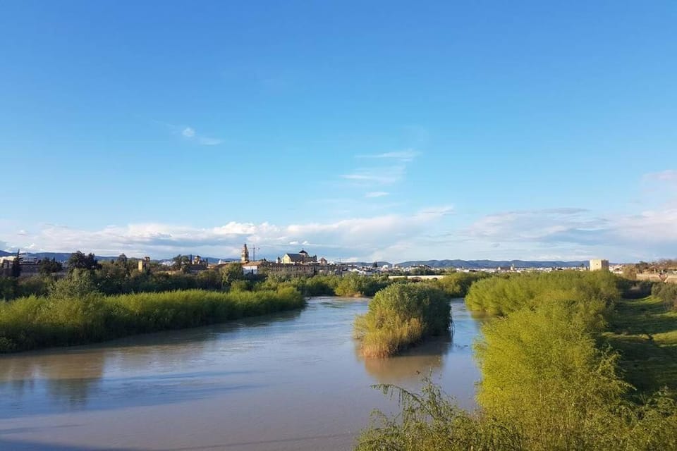 Natural landscape