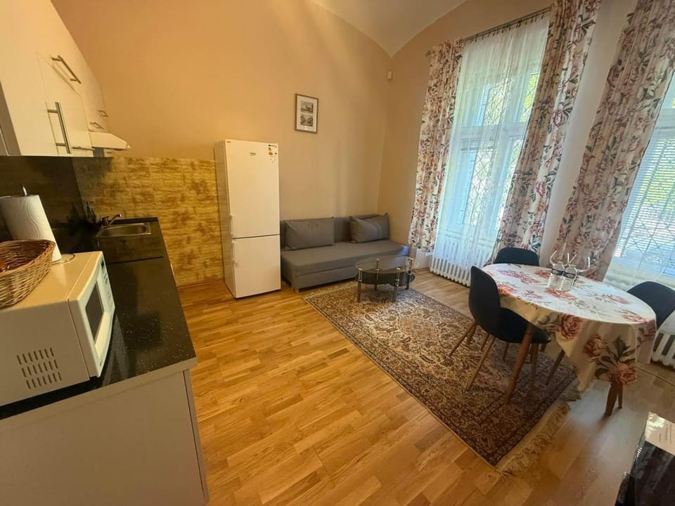 Salve Teplice Apartment in Saxony