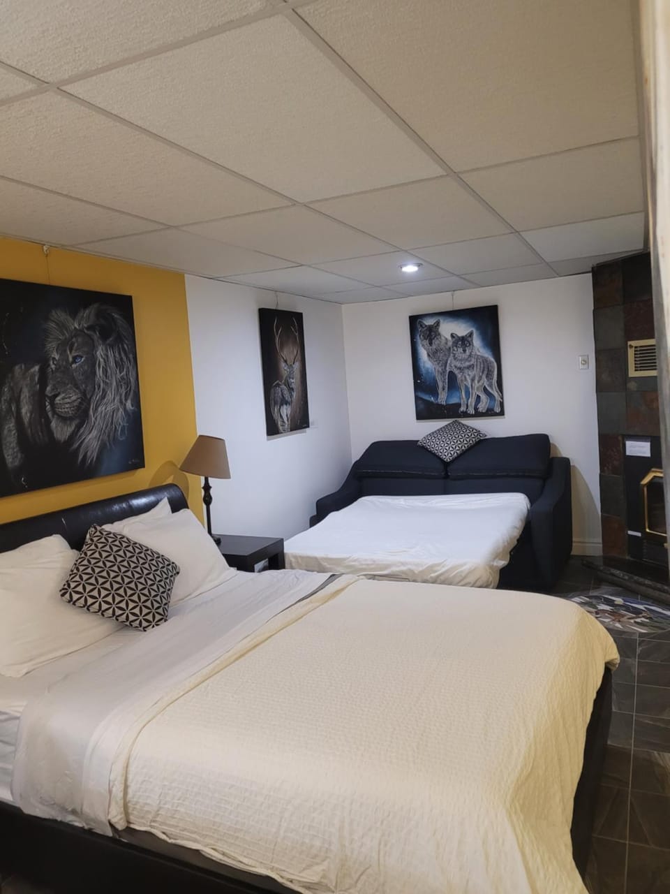 Photo of the whole room