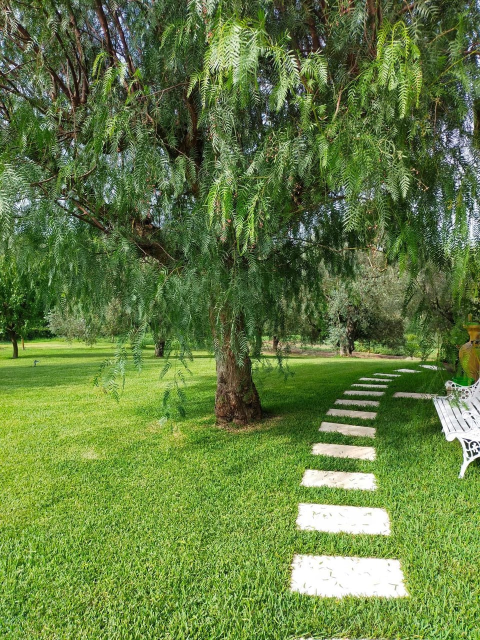 Al Boschetto Bed and Breakfast in Campania