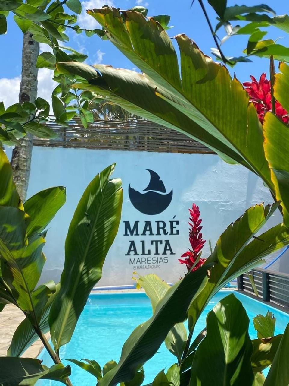 Garden, Pool view, Swimming pool, Swimming pool