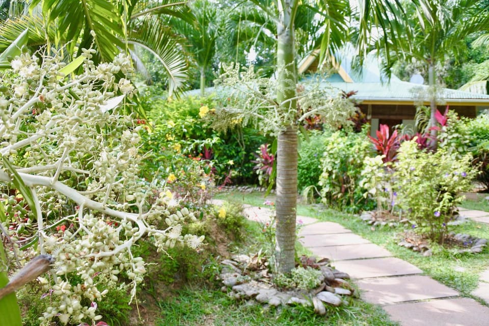 Cocotier du Rocher Bed and Breakfast in Africa