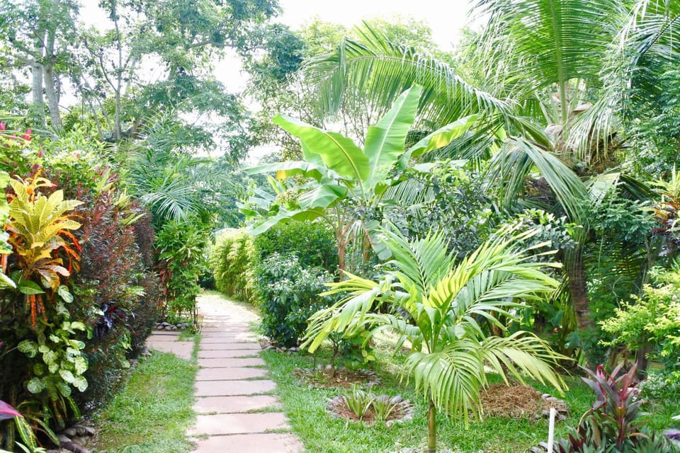 Cocotier du Rocher Bed and Breakfast in Africa