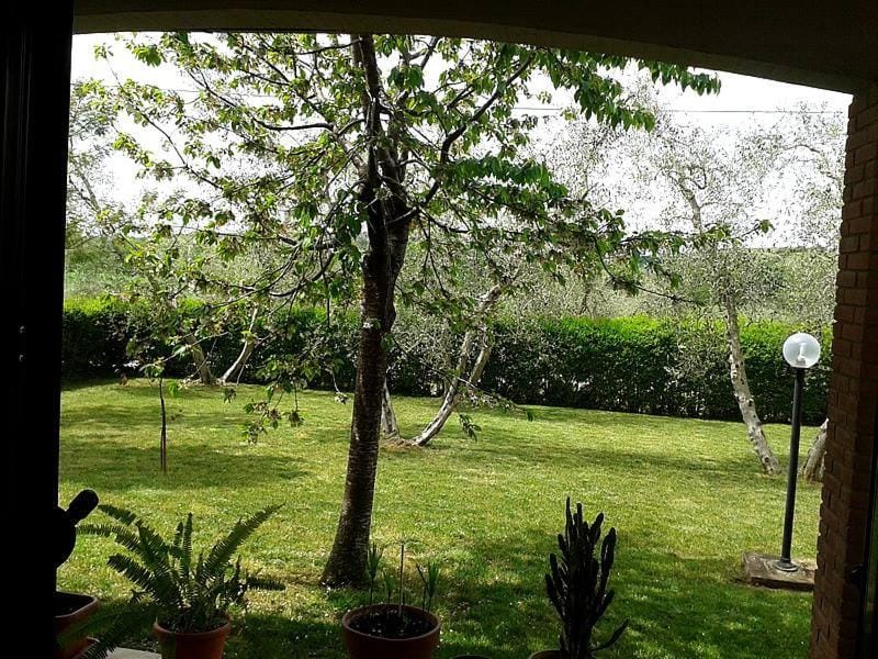 Garden, Quiet street view