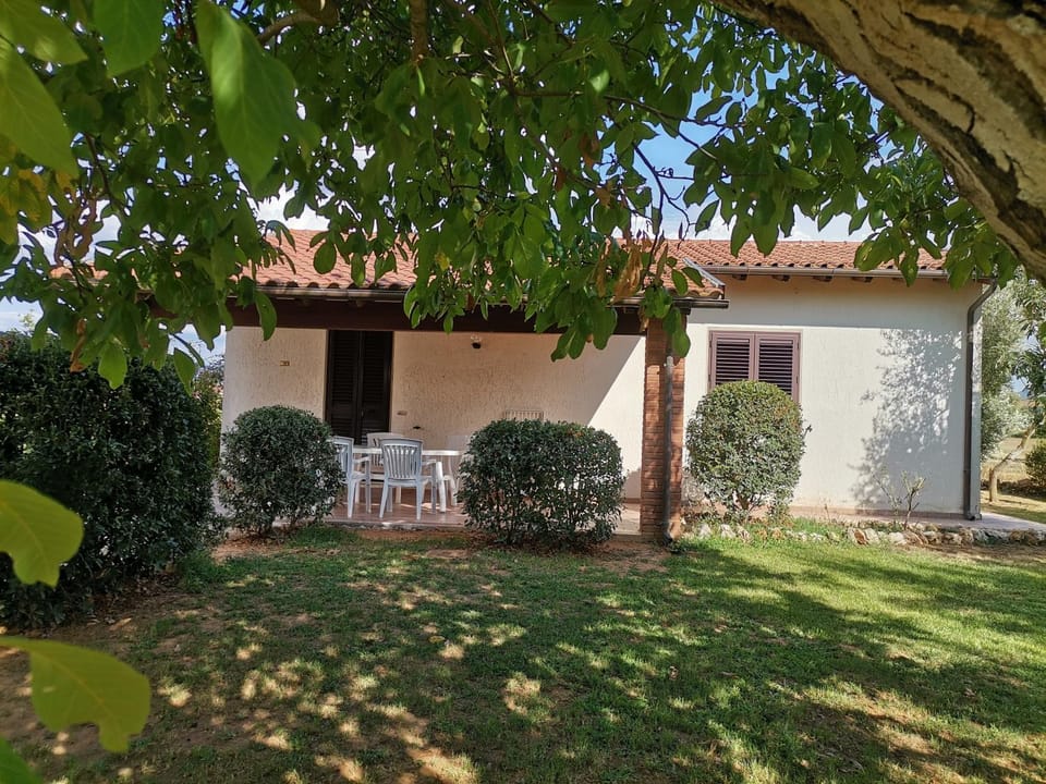 Garden, Inner courtyard view