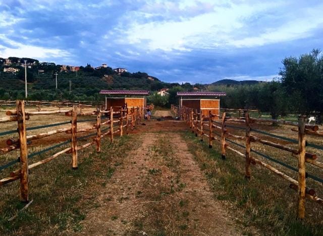 Agriturismo Quattro Pini Farm Stay in Tuscany