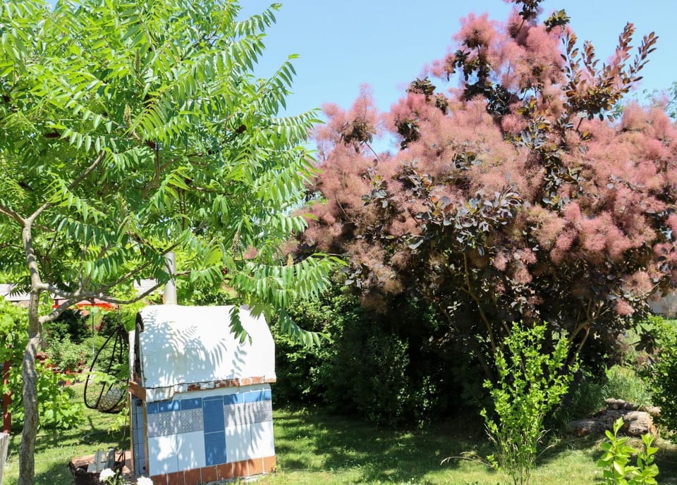BBQ facilities, Garden, Garden view