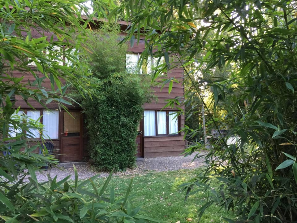 Property building, Spring, Day, Garden