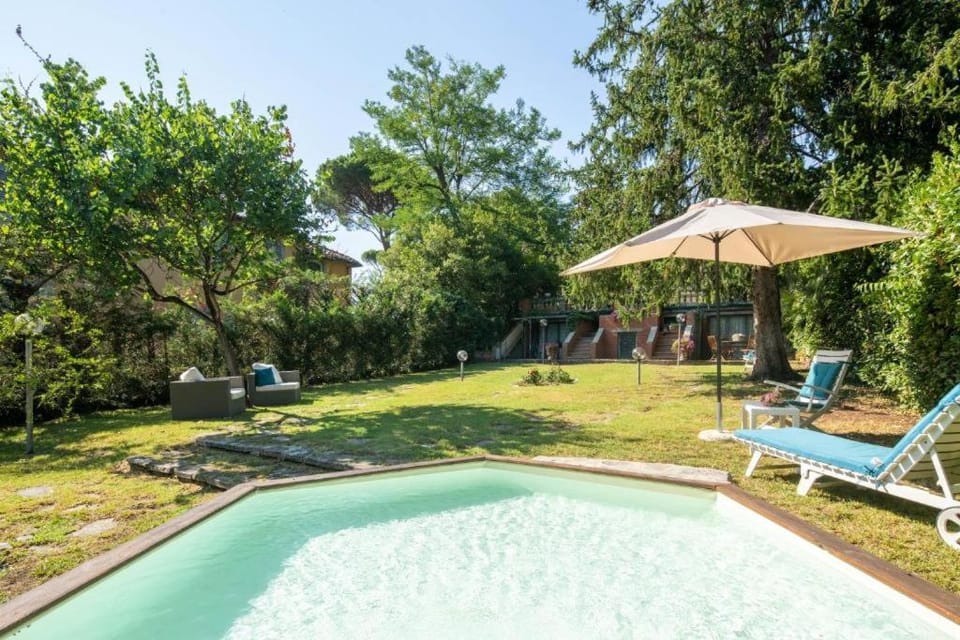 Garden, Pool view, Swimming pool