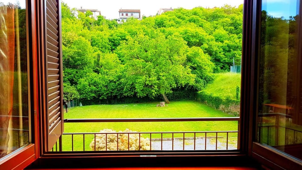 Garden view
