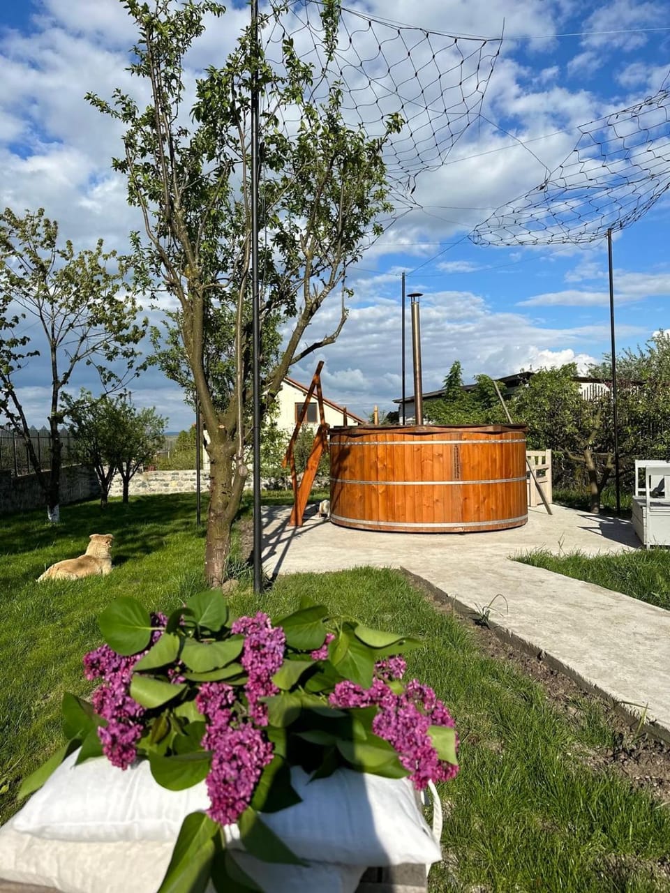 Casa din Deal Bed and Breakfast in Romania