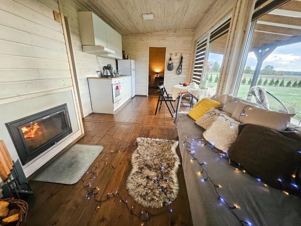 Living room, kitchen
