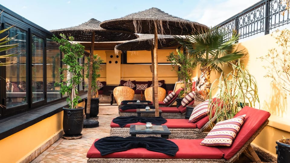 Patio, Day, Living room, Seating area, sunbed