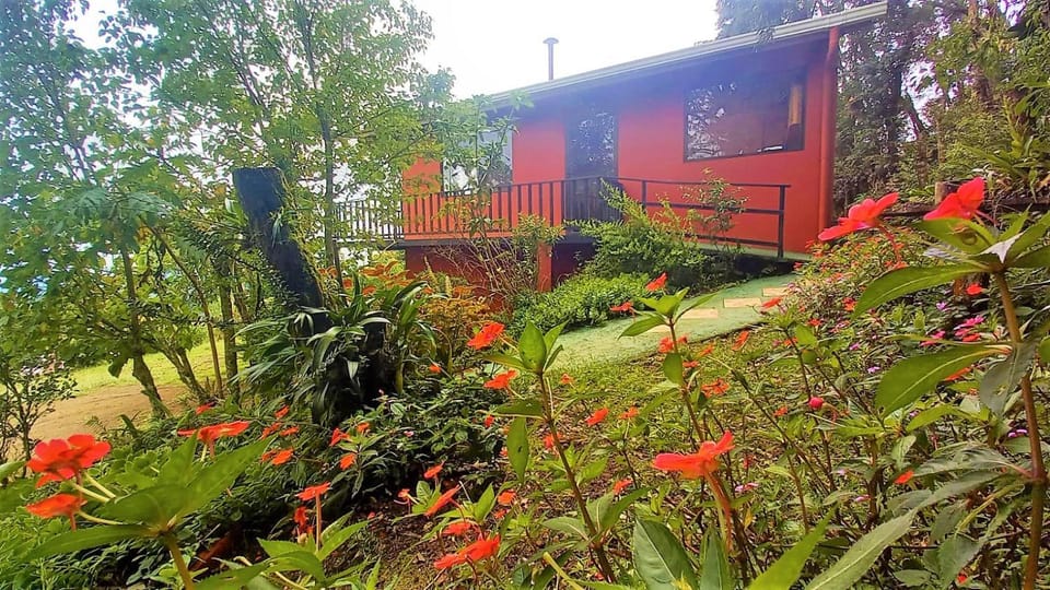 Facade/entrance, Garden, Garden view