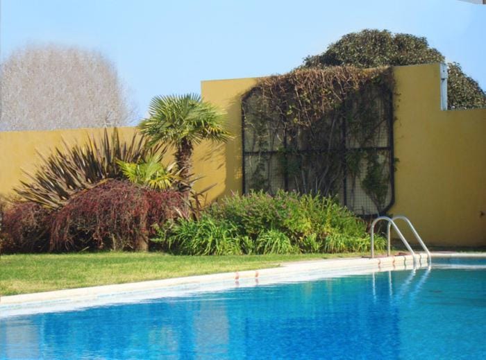 Day, Swimming pool