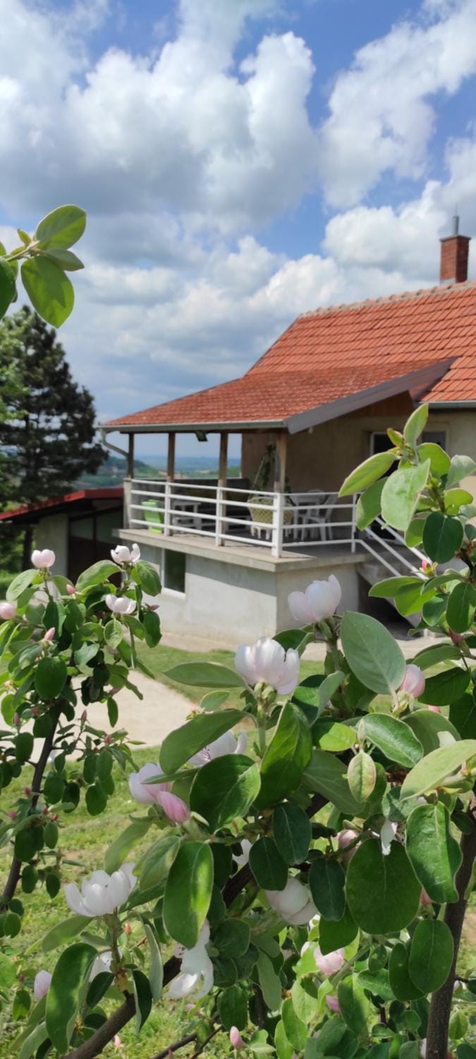 Vikend house House in Serbia