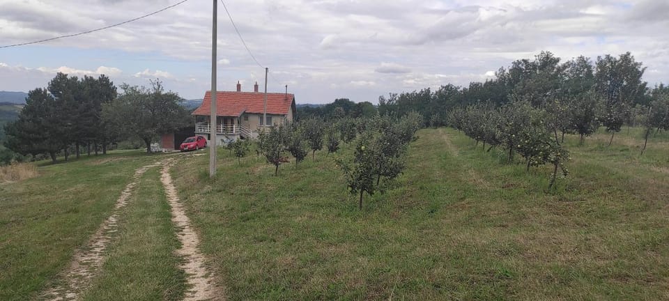 Vikend house House in Serbia