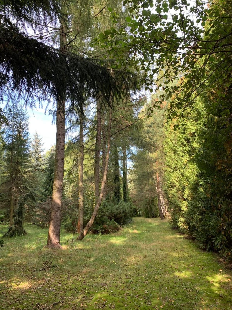Natural landscape
