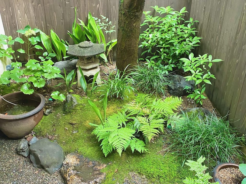 Garden view, Inner courtyard view
